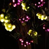 AMZSTAR Solar Grape String Light Outdoor Waterproof 80LED Grape Vine