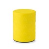 Kamoshika Tools Shop Tea Canister Canister, 7.1 oz (200 g)