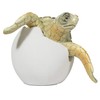 Cute Things Adorable Baby Sea Turtle Hatching from Egg 3