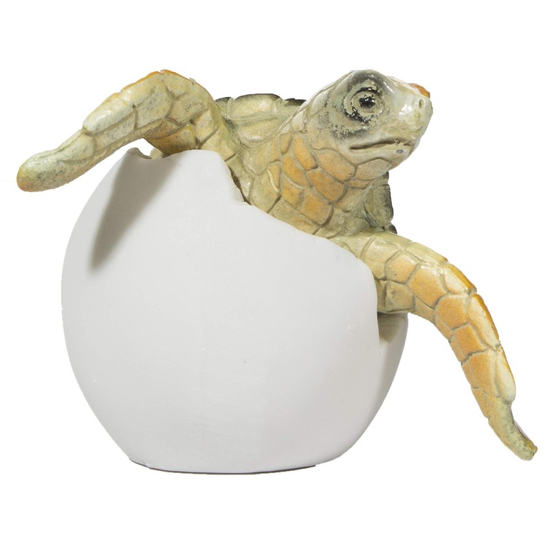 Cute Things Adorable Baby Sea Turtle Hatching from Egg 3