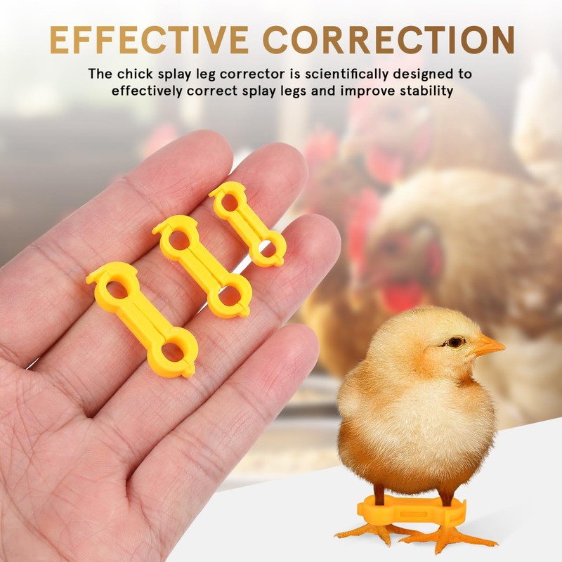 IMIKEYA Pack of 12 Chick Leg Braces Spreader Legs Humpel