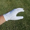 Pay Up Funny Golf Glove - Premium 100% Cabretta Leather