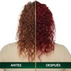 Garnier, Kit Nutrisse Kit Oleos Rubio Rojizo Profundo 6.66 2
