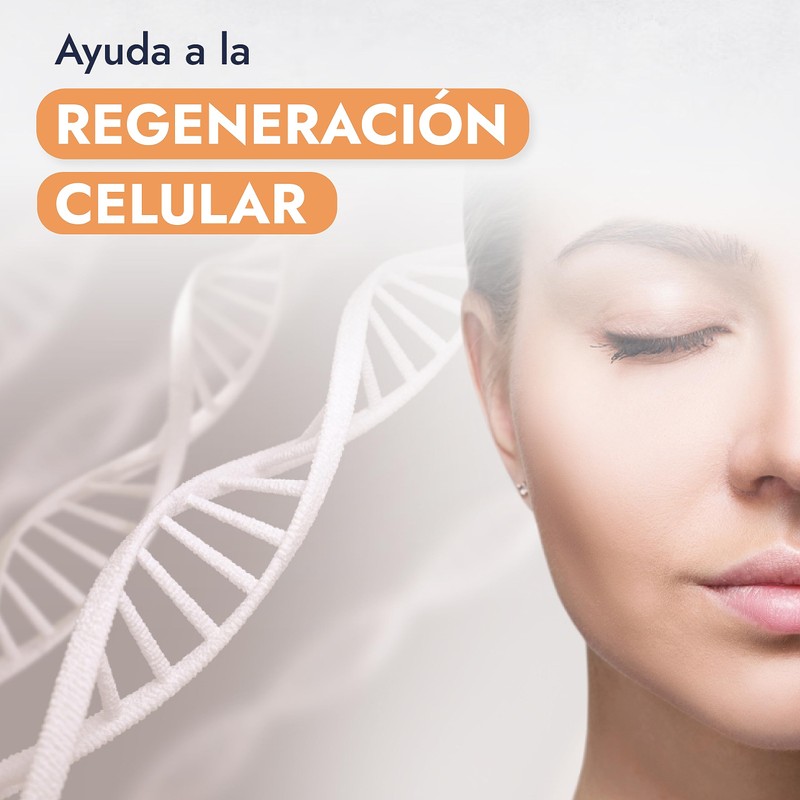 HEBBE - Aceite de Germen de Trigo 100ml | Antioxidante