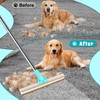 Walverdant Carpet Rake Pet Hair Removal Tool, Dog Hair Remover,