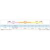 Sunline Super Ice Line Wakasagi PE II 98.4 ft (30