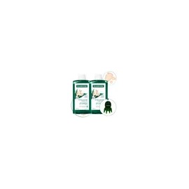 클로란 [지루성두피&가려움케어] 갈랑가 진저 비듬 샴푸 400ml x 2개 + 문어 괄사 증정 [Seborrheic Scalp & Itching Care] Galanga Ginger Dandruff Shampoo 400ml x 2 + Free Octopus Gua Sha