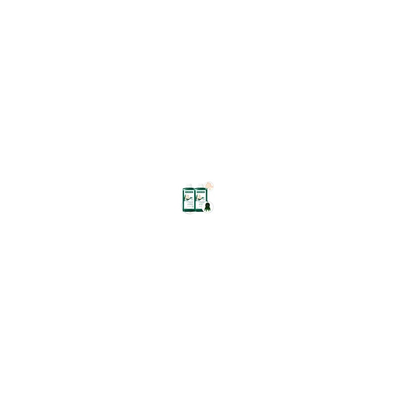 클로란 [지루성두피&가려움케어] 갈랑가 진저 비듬 샴푸 400ml x 2개 +