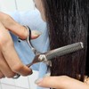 Stainless Steel Hairdressing Barber Thinning Scissors Thinning Scissors Scissors - WFHOV6L / 스텐레스 미용 이발 숱치기 틴닝가위 숱가위 숯가위-WFHOV6L