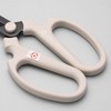 Sakagen 66142 Fresh Flower Shears, Hand Creation, F170, Black Fluorine