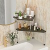 Weenson Bathroom Counter Organizer Corner Shelf - 2 Tier Bathroom