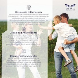 CURCUMINA 95  SUPERCRITICAL GINGER 200 capsulas (1420mg por porcion), Curcuma y Jengibre con Piperina y MCT Oil, by Eternal Nutrition - Ingredientes  