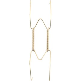 BWESOO Gold Plate Dish Hanger Dismountable Wall Display Securing Clip W Type Dish Spring Holder Invisible Hook Home Decor Storage and Organization Kitchen and Dining (6 inch)