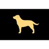 CafePress Yellow Lab Oval Car Magnet, Euro Oval Bumper Magnet