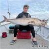 Titanium Large Fish Flying Gaffs for Shore Offshore Tuna, Marlin,