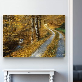 Renditions Gallery Canvas Wall Art Landscape View of Winding Road between the Forest Nature Hanging Artwork for Living Room Office Kitchen Decor - 18"X27" LT08
