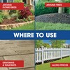 Roundup Weed and Grass Killer₄ with Pump 'N Go 2