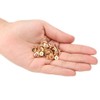 FTVOGUE 10pcs Craft Rivets Brass Studs Screw Back Round Head
