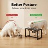 Flodomix Metal Elevated Dog Bowls, Raised Dog Bowls for Medium/Large