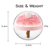 Preserved Flower Portable Humidifier,270ml Capacity,Rechargeable Essential Oil Diffuser with Night