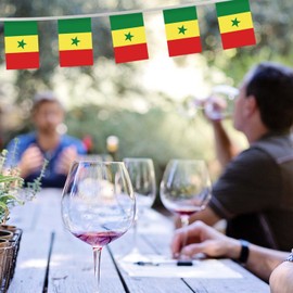 32FT Senegal Pennant Small Flag Bunting,30 PCS Senegalese Mini String Banner Stripes Decor for Holiday Restaurant Home Party School