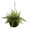 Nearly Natural Leather Fern with Mossy Hanging Basket (Indoor/Outdoor) (Set