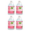 OdoBan Professional Cleaning and Odor Control Solutions, Ready-to-Use Biostain and