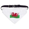 Large 'Waving Welsh Flag' Dog/Cat/Pet Bandana (PD00048184)