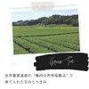 UCC Deep Steamed Shizuoka Sencha Drip Pods Dedicated Capsules, 12