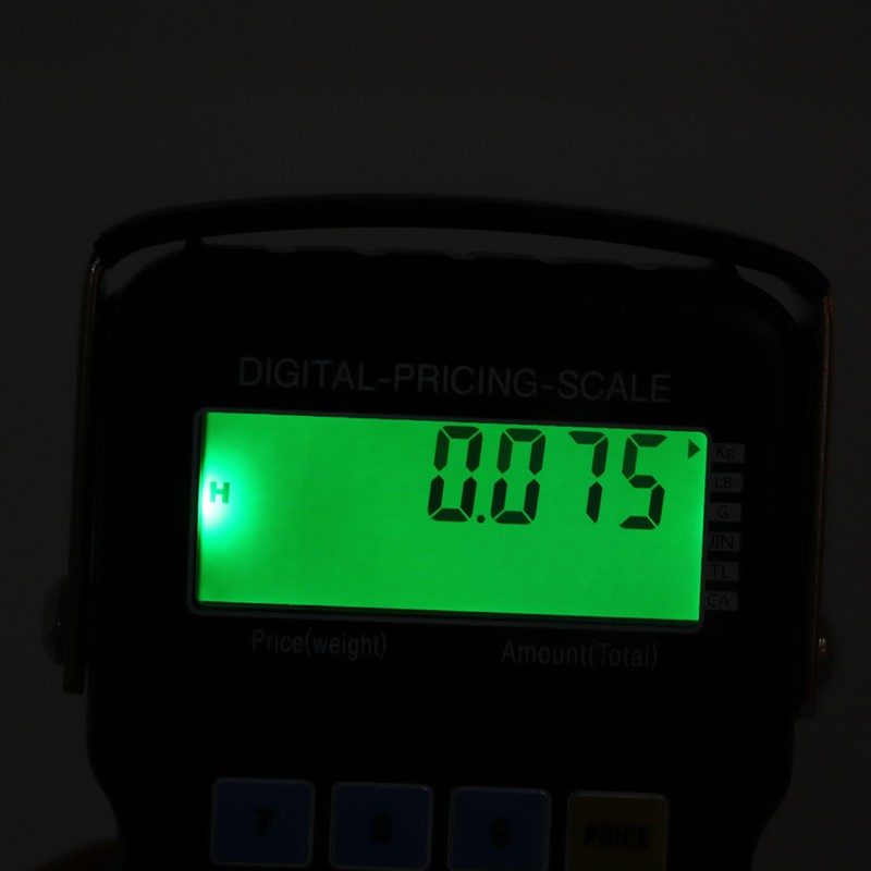 Digital Luggage Scale with Large Hook ABS 110lb High Accuracy