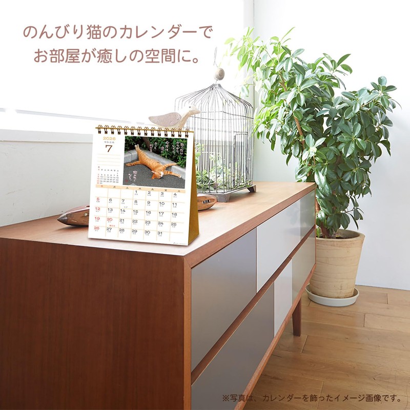 Active Corporation 2026 Calendar Desk-top Sunbathing Cat Chronicles 26ACL-539 2026