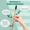 Tooth HaHa Bamboo Toothbrushes, Medium Bristles BPA-Free Bristles Toothbrushes for