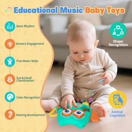 Musical Baby Toys, Sensory Toys with Light for Babies, Educational Montessori Toys with 8 Sounds & 16 Musics, Birthday Gifts for Newborn, Infant, Toddler, Baby Boy, Girl