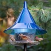 Sky Cafe - Squirrel Proof Bird Feeder for Outside -