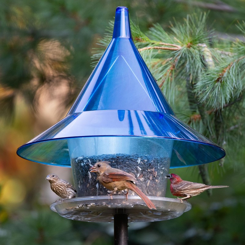 Sky Cafe - Squirrel Proof Bird Feeder for Outside -