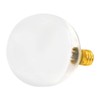 Bulbrite 25G16HM Half Chrome 25W Globe Shape Bulb