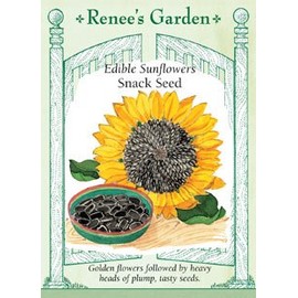 Sunflower, Snack Seed, Edible