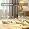12" Large Round Glass Lotus Bowl Planter with Rattan Mat