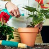 Doter All-Natural Potting Soil for Anthurium & Indoor Plants 1qt