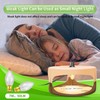 Flea Traps for Inside Your Home,New Bed Bug Trap with