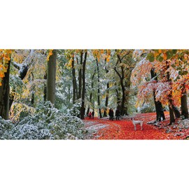 Snow in Autumn | 636 Piece Jigsaw Puzzle | Panoramic Photography Puzzle | Sustainable Jigsaw Puzzle for Adults | Premium 100% Recycled Board | Great Gift for Adults | Gibsons Games
