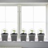 EBaokuup 30PCS Clear Plant Nursery Pots with Humidity Dome -