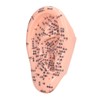 6.7in Ear Acupuncture Model Silicone Engraving Ear Massage Acupuncture Model