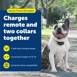 PetSafe Remote Trainer USB Adaptor - Replacement Charging Cable for Dog Training Collars - Compatible Accessory for Multiple Remote Trainer Models - Durable & Portable Charging Solution