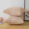 Soleebee Set of 2 Throw Pillow Covers Soft Cozy Velvet