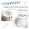 [Diapet Exclusive] Rainbow Bridge Buddhist Equipment with Foot Mark, Set