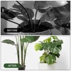Pack of 2 Monstera Trellis, Plant Support Monstera, Trellis Monstera,