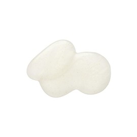 NATURE REPUBLIC Jinsen Royal Silk Lotion (24 Years Ver.)