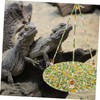BESPORTBLE 3pcs Bearded Dragon Hammock Toy Durable Reptile Swing Bed