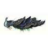 Premier Peacock With Feather Tail On Clip - 25cm